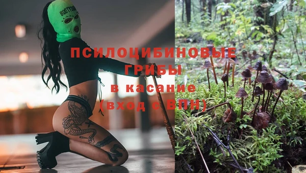 дживик Алексин