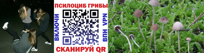Галлюциногенные грибы MAGIC MUSHROOMS  цена   мега ТОР  Анапа 